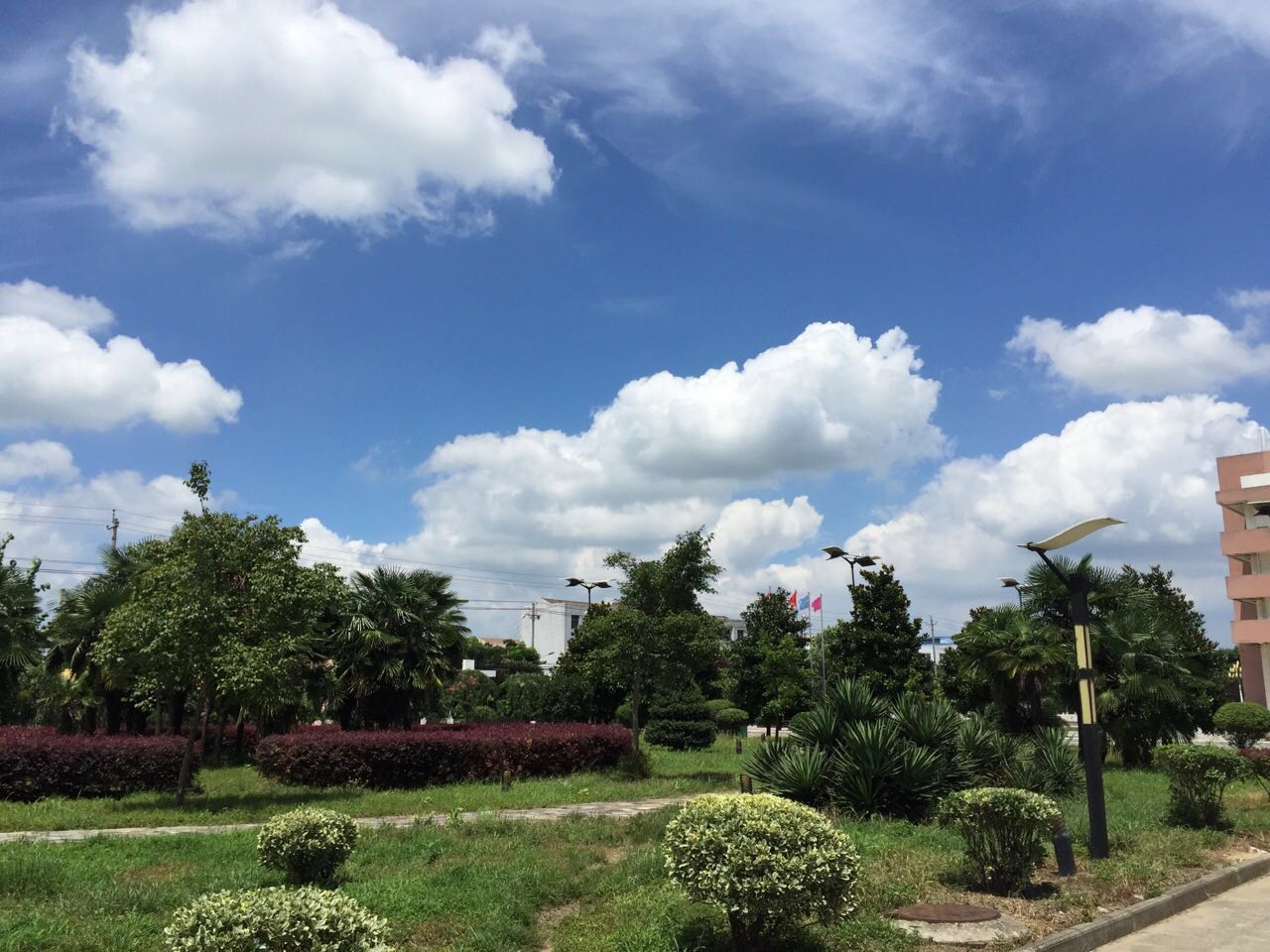 公司環(huán)境